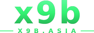 x9b logo